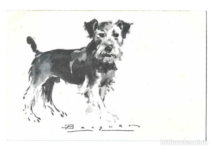 Postcards: POSTAL- BECQUER. PERROS. SERIE B N&ordm; 10. ARCHIVO DE ARTE. BARCELONA- SIN CIRCULAR
