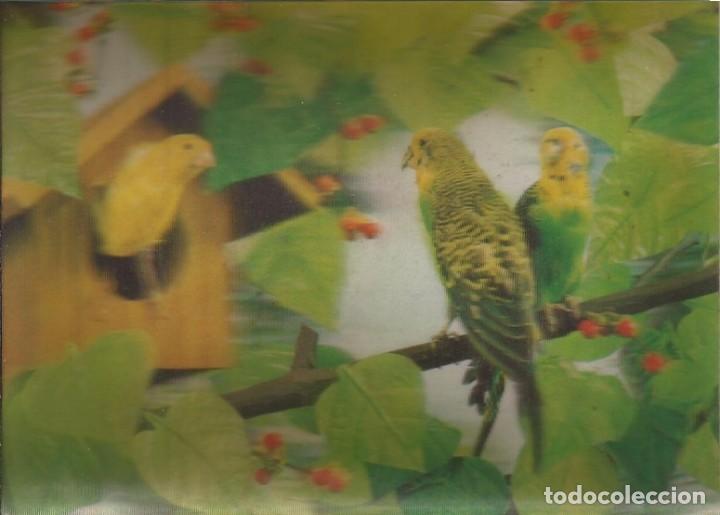 Postcards: X893 Postal japonesa Toppan Lenticular 3D / Fauna silvestre / Aves Loros cotorras - circulada 1970'