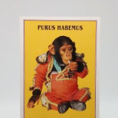 Cartes Postales: POSTAL 1 - PURUS HABEMUS - CHIMPANCÉ - ANIMALES. Lote 303016238
