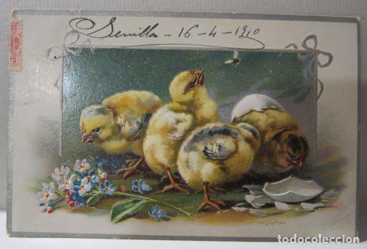 Postales: POSTAL. POLLUELOS, CON RELIEVE. CIRCULADA. 1910 - Foto 1