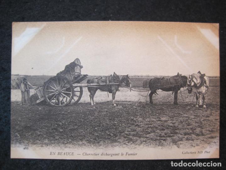 Postales: CABALLOS-POSTAL ANTIGUA-VER REVERSO-(86.892)
