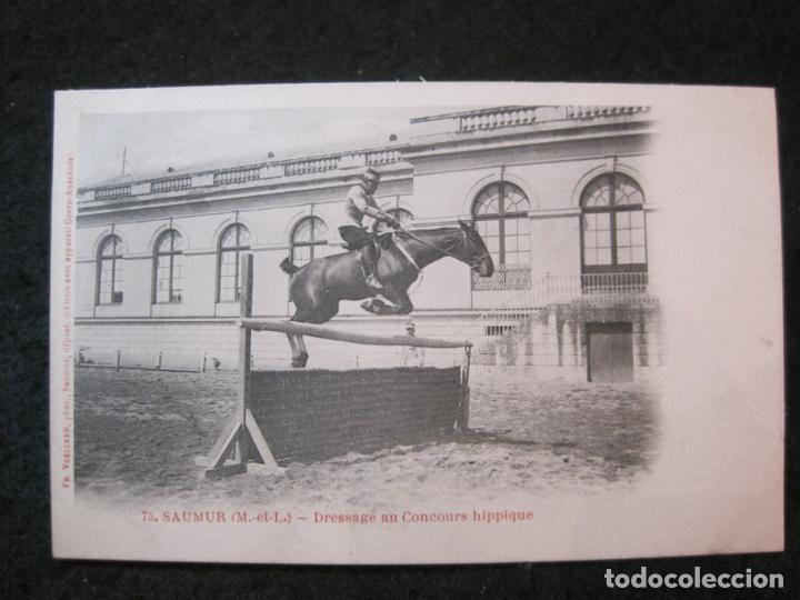 Postales: CABALLO-POSTAL ANTIGUA-VER REVERSO-(86.894)