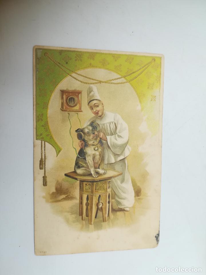 Postales: TARJETA POSTAL. ANIMALES. HOMBRE PONIENDO AL TEL&Eacute;FONO A PERRITO.