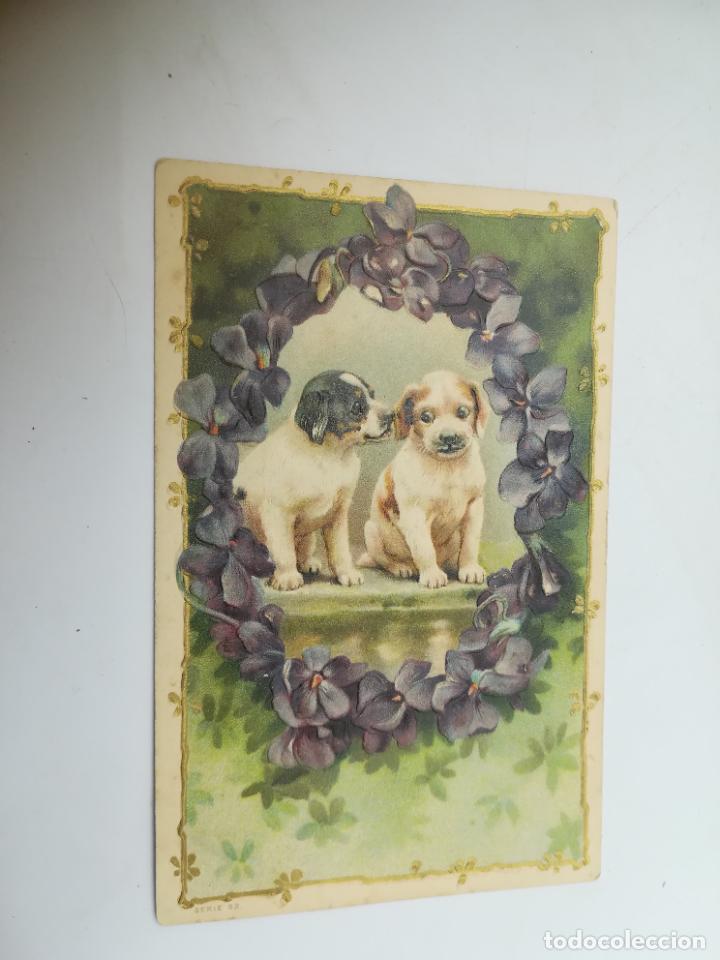 Postales: TARJETA POSTAL. ANIMALES. IMAGEN DE PERRITOS DENTRO DE FLORES MALVAS