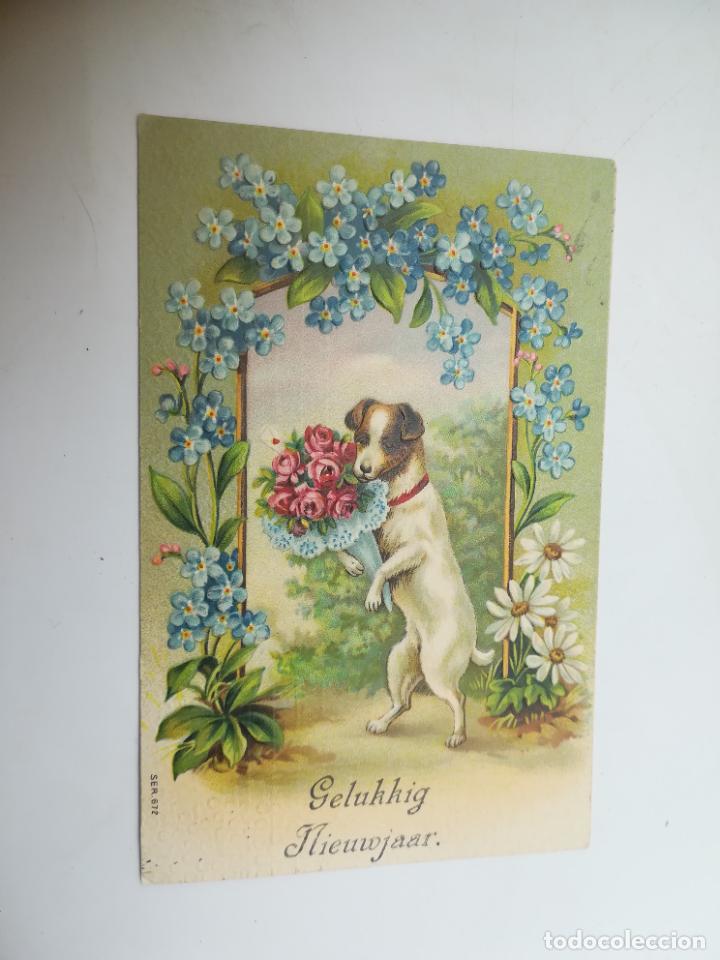 Postales: TARJETA POSTAL. ANIMALES. FELIZ A&Ntilde;O NUEVO. PERRITO CON RAMO DE ROSAS EN ARCO DE FLORES CELESTES