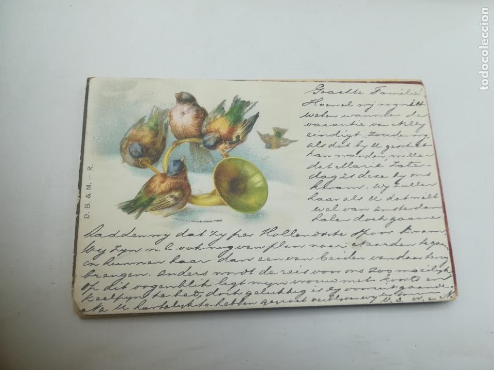 Postales: TARJETA POSTAL. ANIMALES. PAJARILLOS ALREDEDOR DE TROMPA MUSICAL