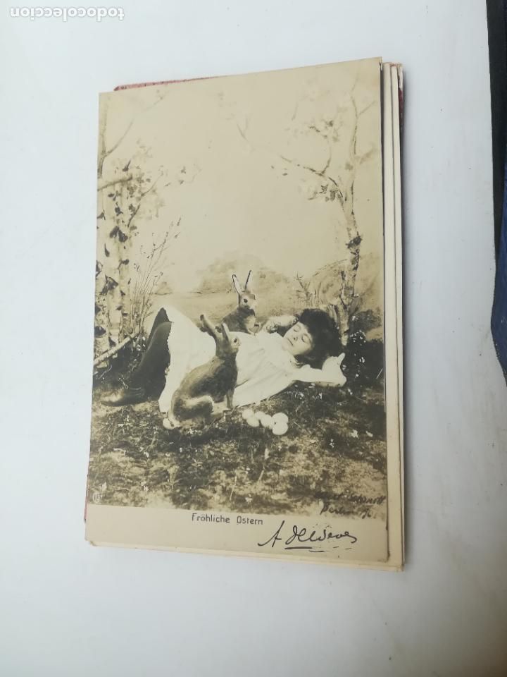 Postales: TARJETA POSTAL. ANIMALES. FELIZ PASCUA. NI&Ntilde;A DURMIENDO EN CAMPO RODEADA DE CONEJITOS.