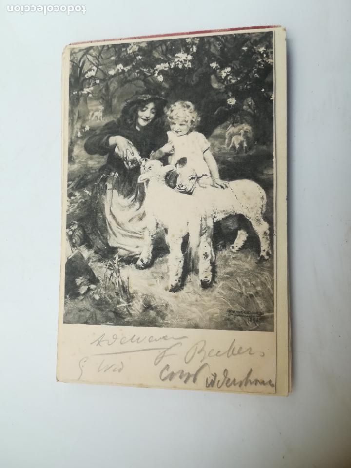 Postales: TARJETA POSTAL. ANIMALES. NI&Ntilde;OS DANDO LECHE A OVEJAS EN PAISAJE CAMPESTRE.