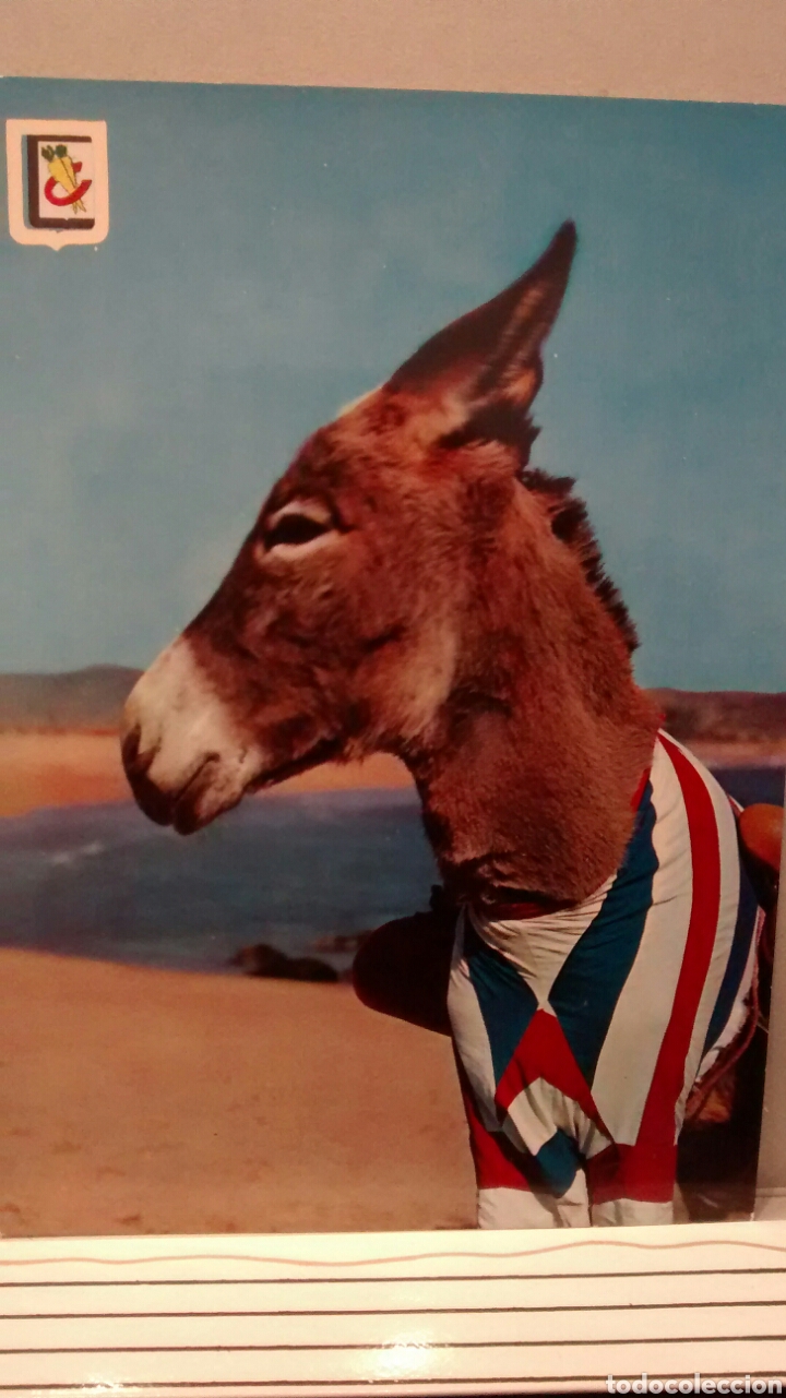 Postales: &iquest;ME LLAMAS? ESCUDO DE ORO-FISA- N&ordm; 10. SIN CIRCULAR
