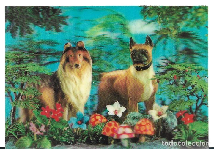 Postales: DOS PERROS EN POSTAL 3D TRIDIMENSIONAL. NO ESCRITA. COLECCI&Oacute;N VISIORELIEF. IMPRESA EN JAPON