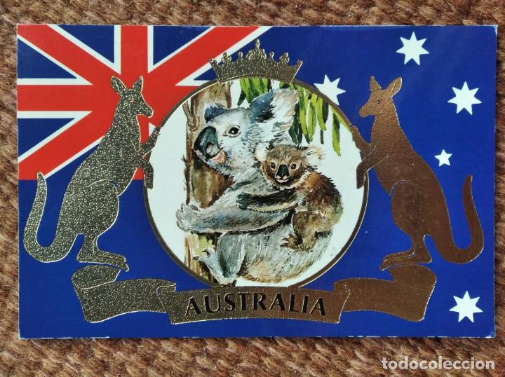Postales: KOLALA EN AUSTRALIA