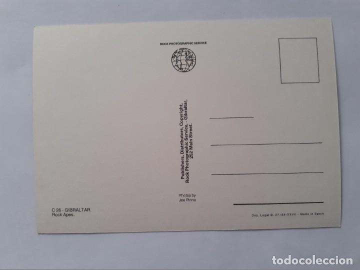 Postales: POSTAL - GIBRALTAR - MONOS DE ROCA - S/C - Foto 2