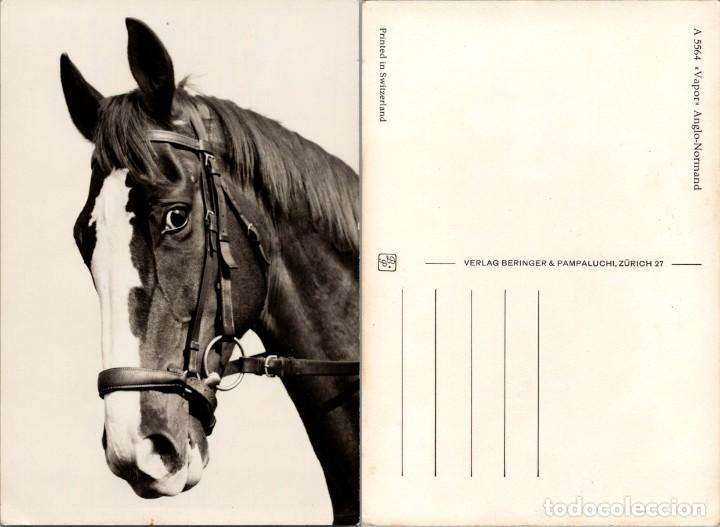 Postcards: Postal suiza de un caballo: &rdquo;Vapor&rdquo; Anglo-Normand - Ed. Beringer & Pampaluchi n&ordm; A 5564 - 151x105mm.