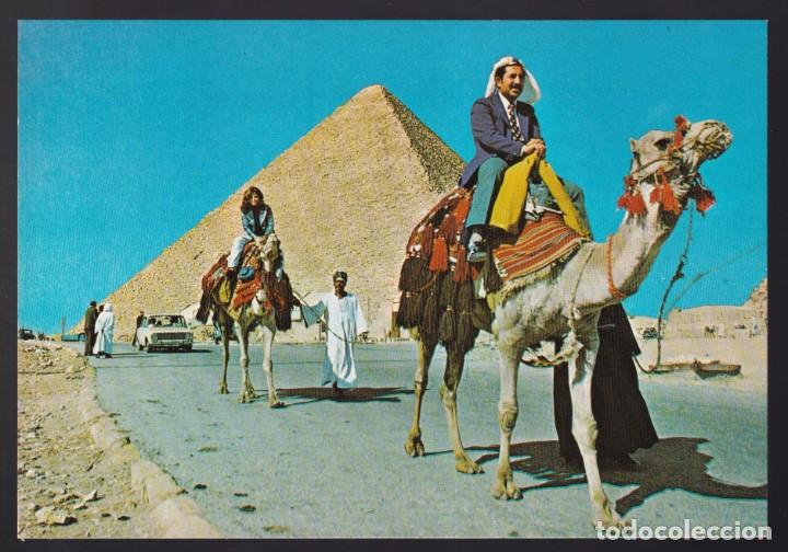 Cartes Postales: Egipto. Giza. *The Biggest Pyramid at Giza* Nueva.