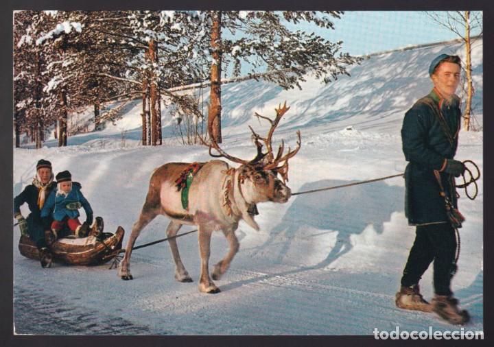 Cartes Postales: Noruega. *Lapps taking a sleigh ride* Circulada 1968.