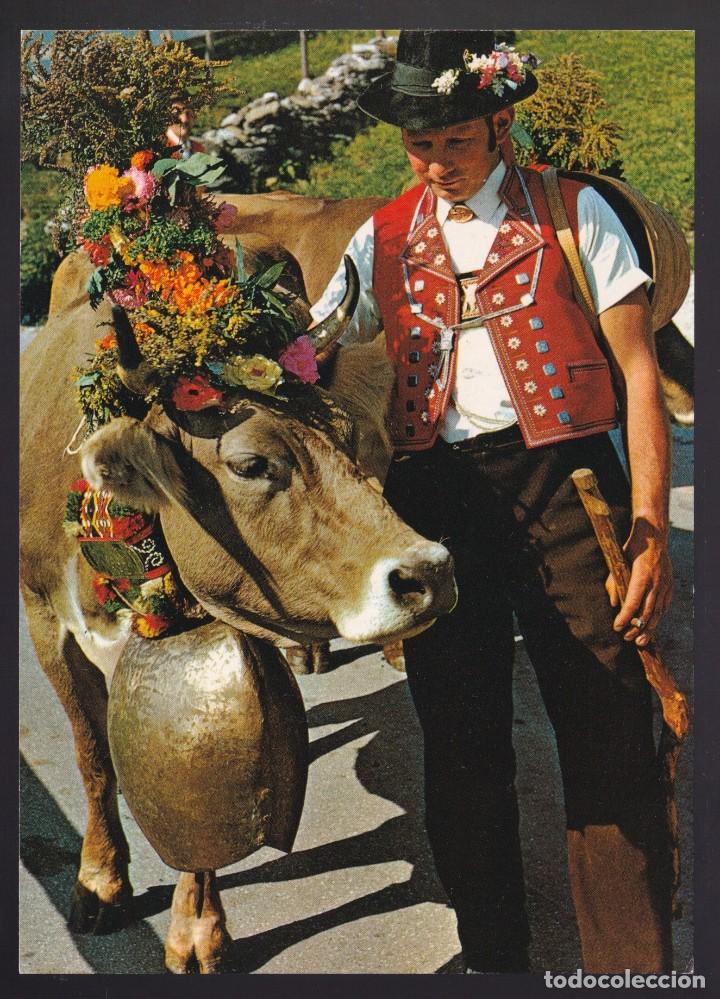 Cartes Postales: Suiza. *Alpine herdsman of the Toggenburg valley* Nueva.