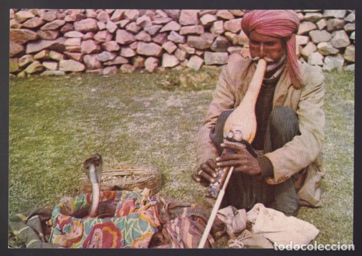 Postais: India. *Cobra and the Snake Charmer* Nueva.