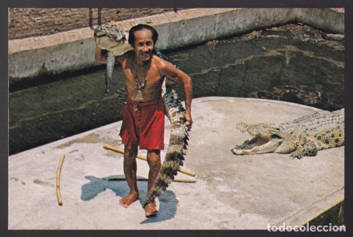 Postais: Tailandia. Samut Prakarn Prov. *A handler in a pond teeming with crocodiles...* Nueva.