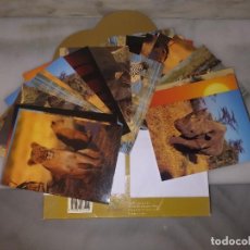 Postales: LOTE DE 20 POSTALES DE ANIMALES AFRICANOS. Lote 315354078