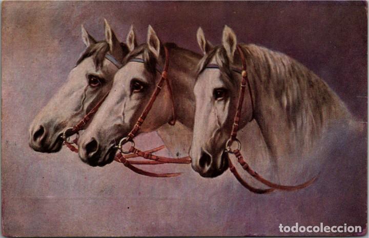 Postkarten: Postal Alemana - Caballos - Ilustrada - Ed. &rdquo;Cruz de David&rdquo; Serie 204 - Circulada 1912 - 137x87mm.