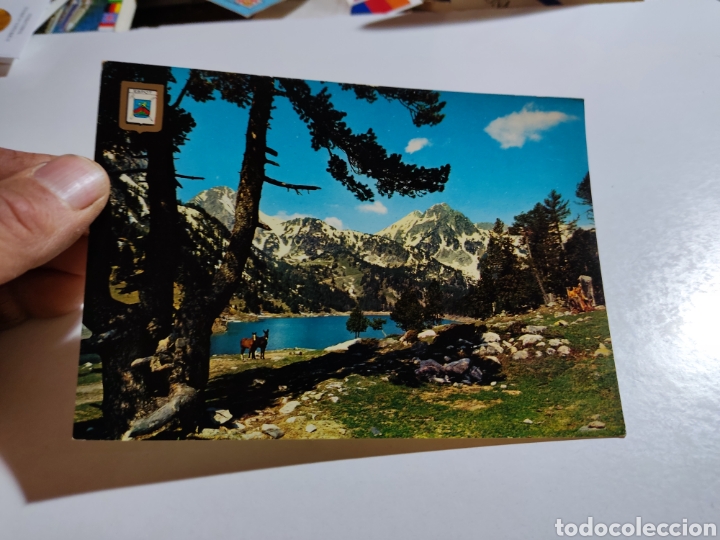 Postcards: Postal vall d,espot paisaje caballos