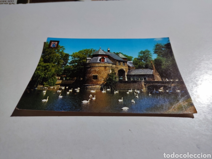 Postales: Postal brugge cisnes - Foto 1