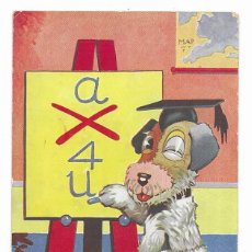 Postales: POSTAL. A DOG'S LIFE. NORFIELD,EDGAR. Nº 3633 ARE YOU GOOD AT ARITHMETIC? RAPHAEL TUCK & SONS