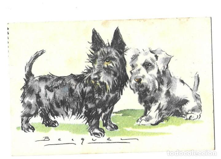 Cartes Postales: Postal tem&aacute;tica de animales (perros) Circulada. Fechada en 1947