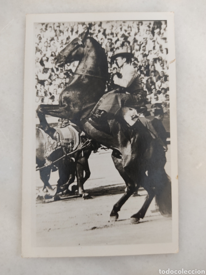 Cartes Postales: antigua postal caballo rejoneador