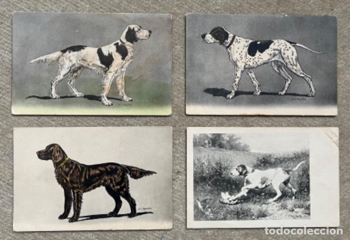 Postcards: 4 Antiguas tarjetas postales de perros