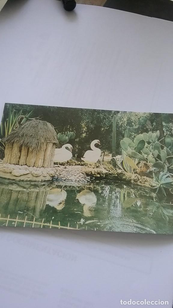 Postales: Postal ocas en el jardin(624-3) - Foto 1