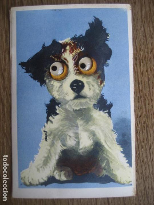 Postkarten: Perro con ojos saltones. Postal Danesa . Postal sin circular