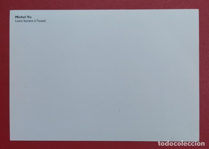 Postales: Leones bebiendo. Postal nueva sin circular. - Foto 2