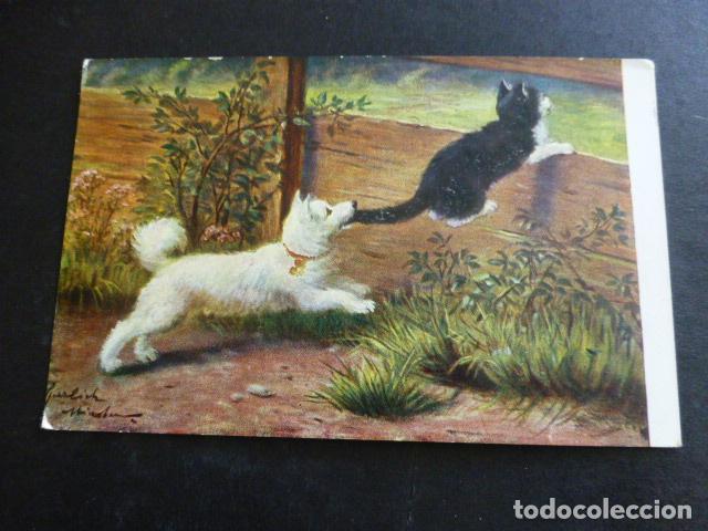 Postales: PERRO Y GATO POSTAL ILUSTRADA - Foto 1