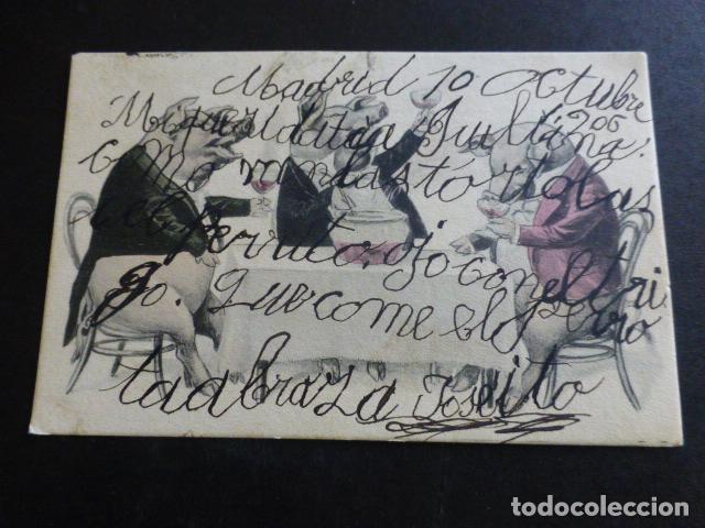 Postales: CERDOS POSTAL ILUSTRADA - Foto 1