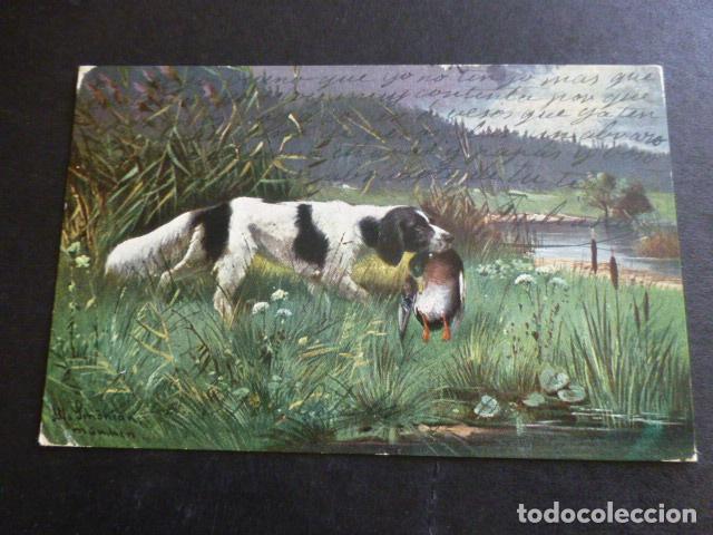 Postales: PERRO DE CAZA POSTAL ILUSTRADA - Foto 1