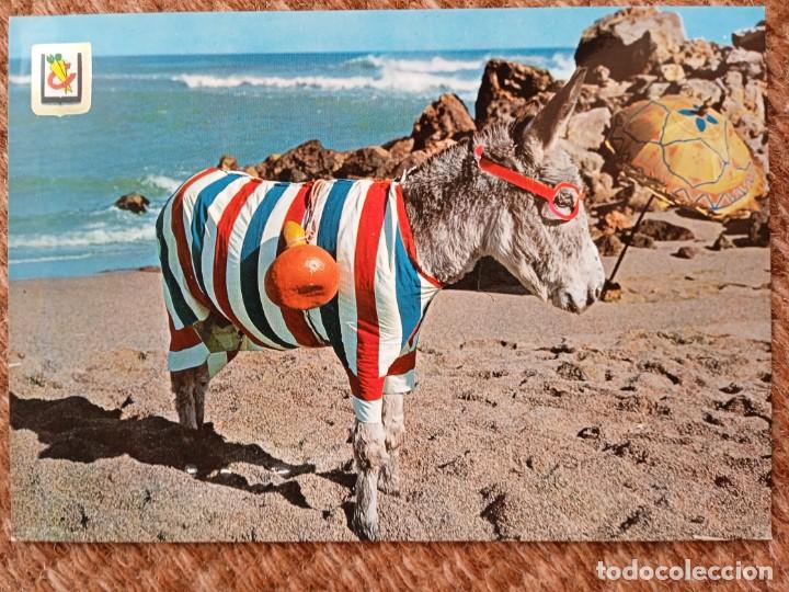 Postkarten: QUE BURRO SOY - BURRO BA&Ntilde;ISTA