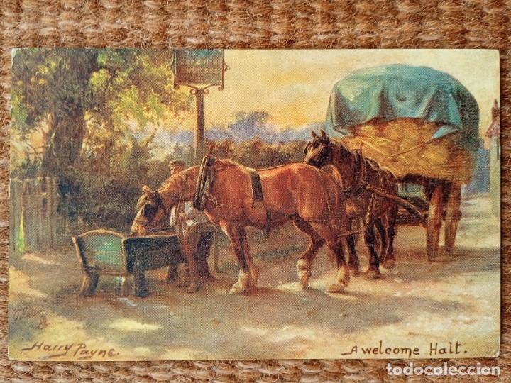 Postkarten: CABALLO BEBIENDO - HARRY PAYNE