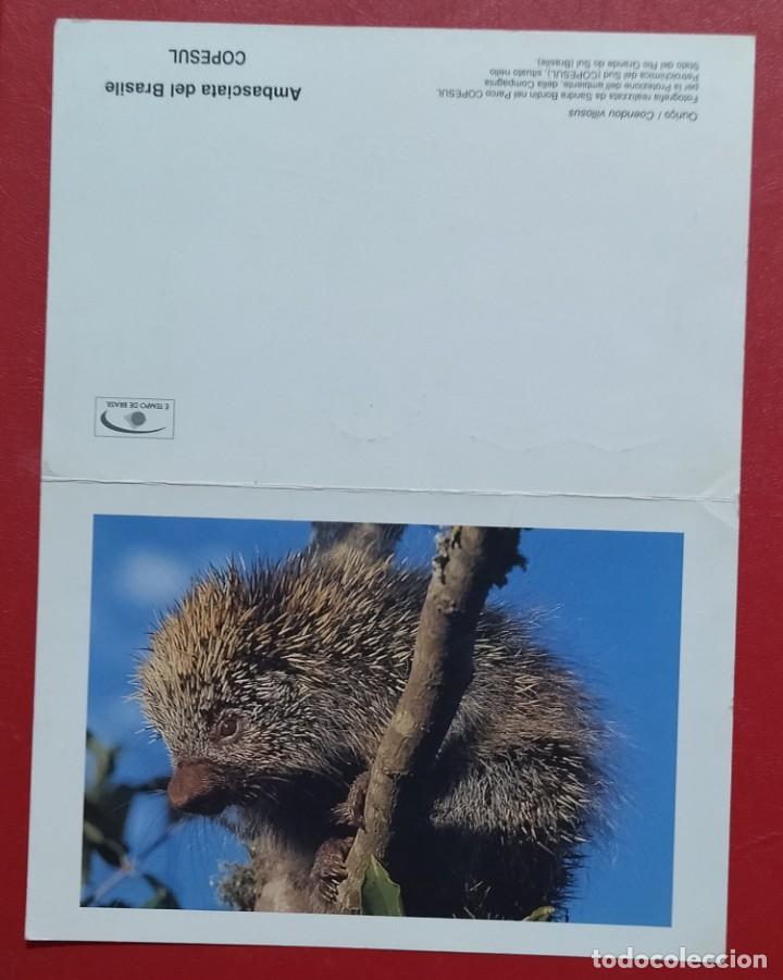 Postales: Fauna de Brasil. Postal circulada de Roma a Madrid. - Foto 2