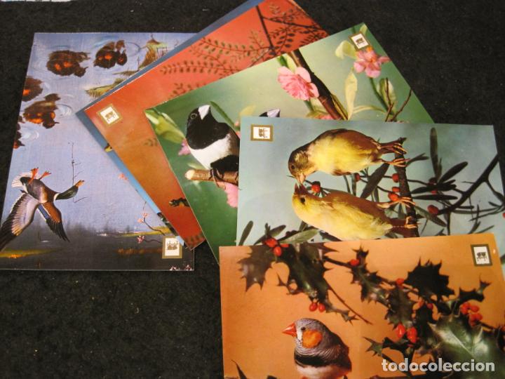 Postais: PAJAROS-COLECCION DE 6 POSTALES-ESCUDO DE ORO-VER FOTOS-(94.240)