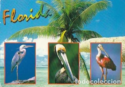 Postales: Estados Unidos & Marcofilia, Florida es la Vacaci&oacute;n Perfecta, Orlando, Inglaterra 2007 (7889)