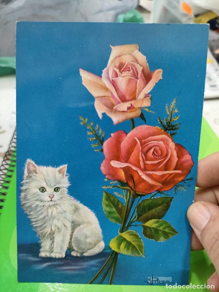 Cartes Postales: Postal ROSAS y GATO C y Z N 6619 Escrita