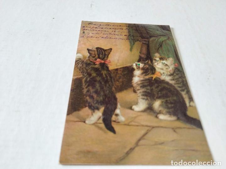 Postales: POSTAL CON RELIEVE GATITOS - Foto 1
