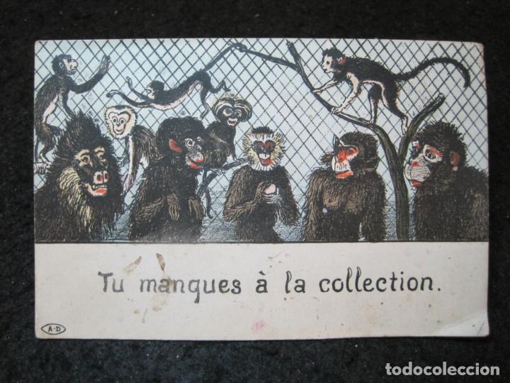 Cartes Postales: TU MANQUES A LA COLLECTION-ILUSTRACION MONOS-POSTAL ANTIGUA-(94.930)