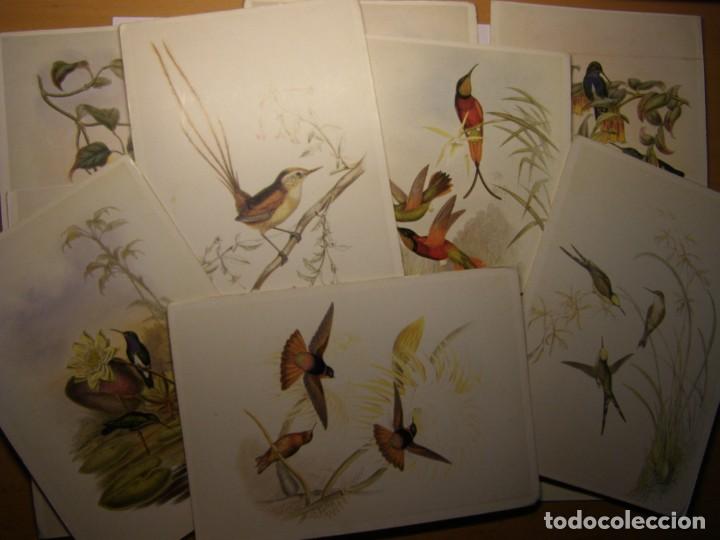 Cartes Postales: 11 Postales sobre p&aacute;jaros.