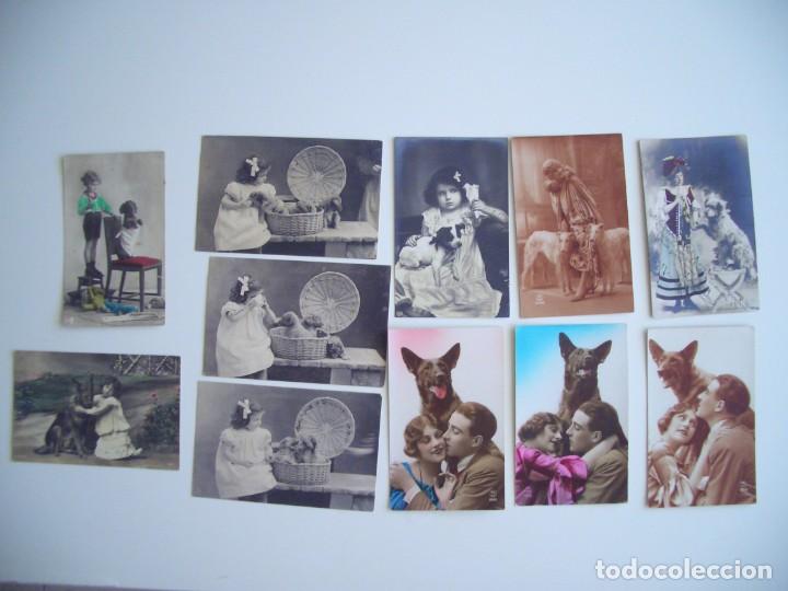 Postkarten: Lote de 11 postales de tema perros