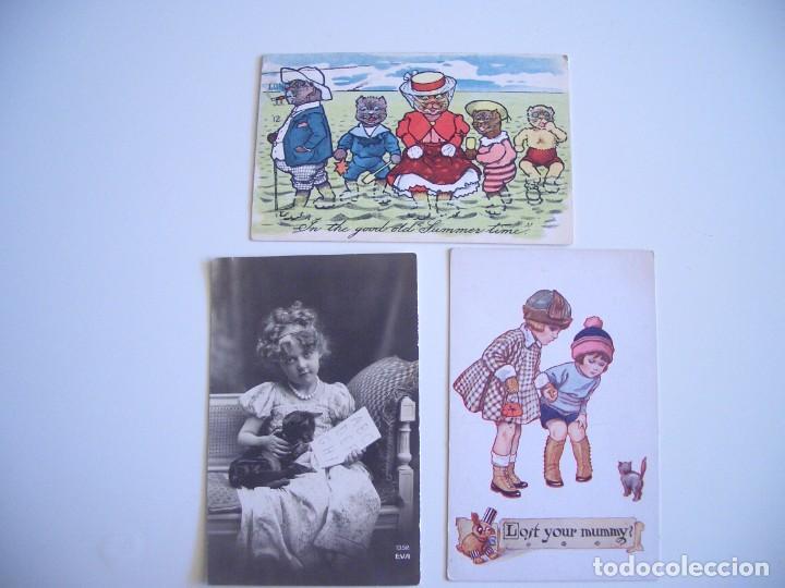 Postkarten: 3 postales de tam gatos