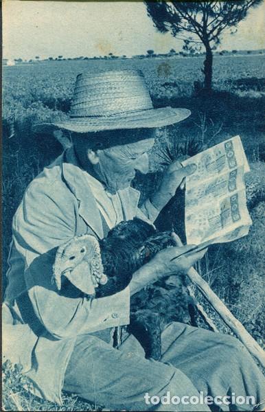 Cartes Postales: X127558 CAMPESINO Y SU PAVO DOMESTICADO PAGES I SU GALL DINDI DINDE APPRIVOISEE DINDON APPPRIVOISE