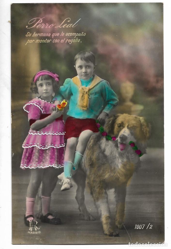 Cartes Postales: Perro leal.Su hermana que lo acompa&ntilde;a por montar con el rega&ntilde;a.Rapido-Madrid