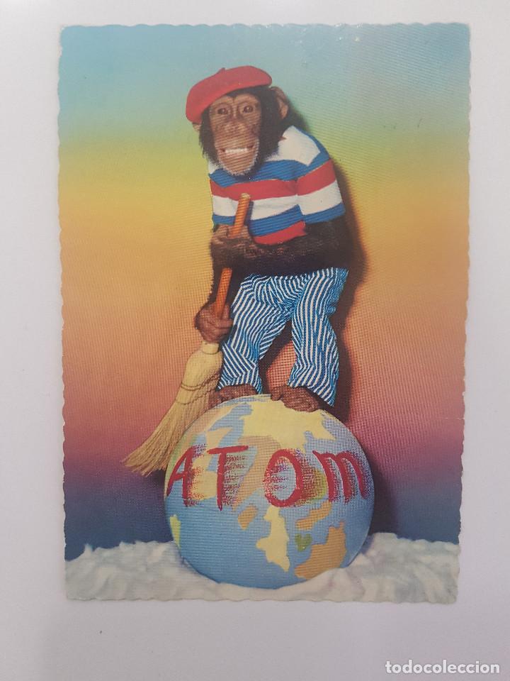 Postales: POSTAL MONO CHIMPANCE ATOM. POSTAL SUIZA. 653 - Foto 1